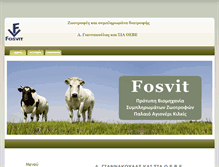 Tablet Screenshot of fosvit.com